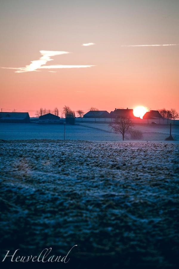Bed and Breakfast 'T Wolvennest Хёвелланд Экстерьер фото